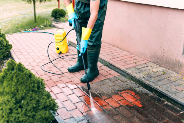 Best Animal Enclosure Cleaning  in Crystal River, FL